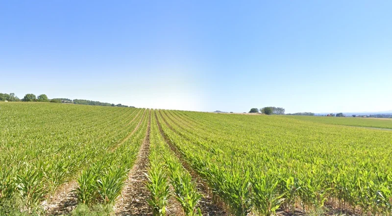 Unnao, Uttar Pradesh, India preview 3