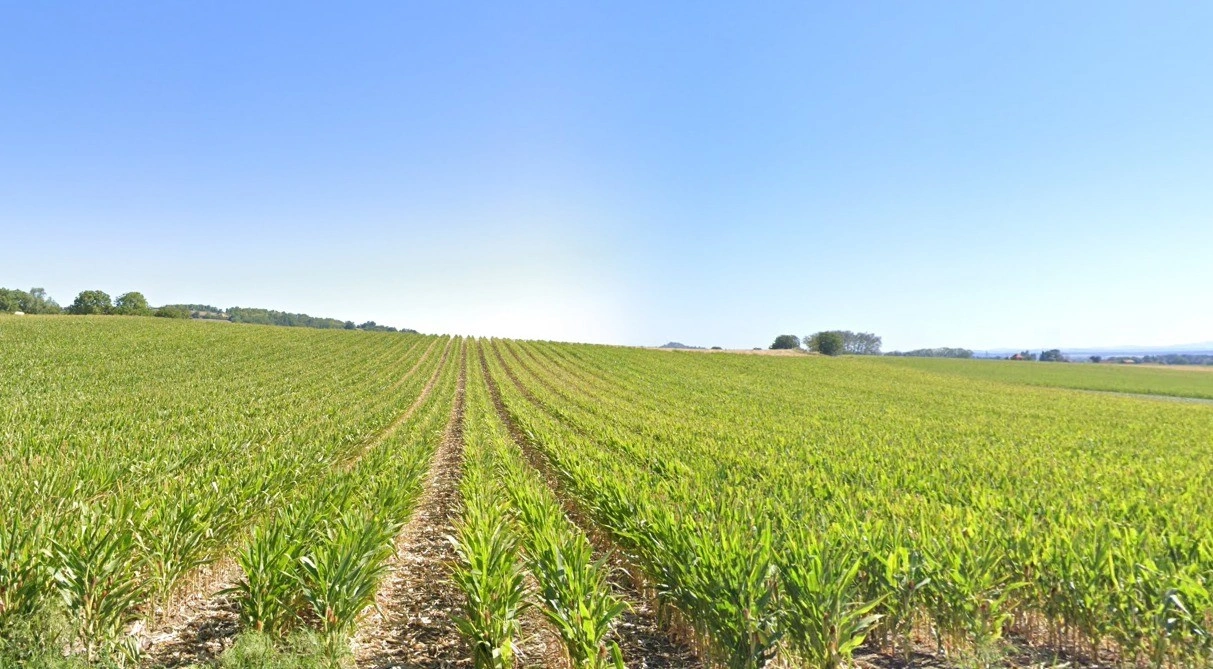 Unnao, Uttar Pradesh, India