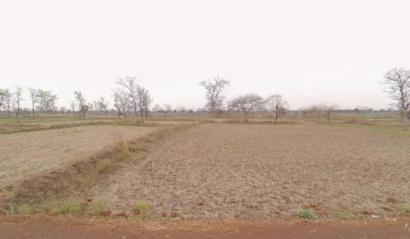 Mohra, Chhattisgarh, India