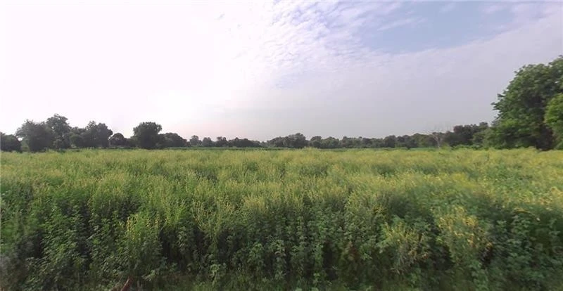 GP6F+QG Tindalava Mota, Gujarat, India