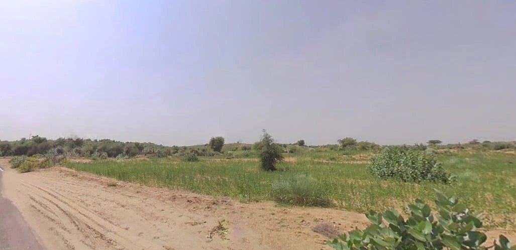 Katriyasar, Rajasthan 334022, India