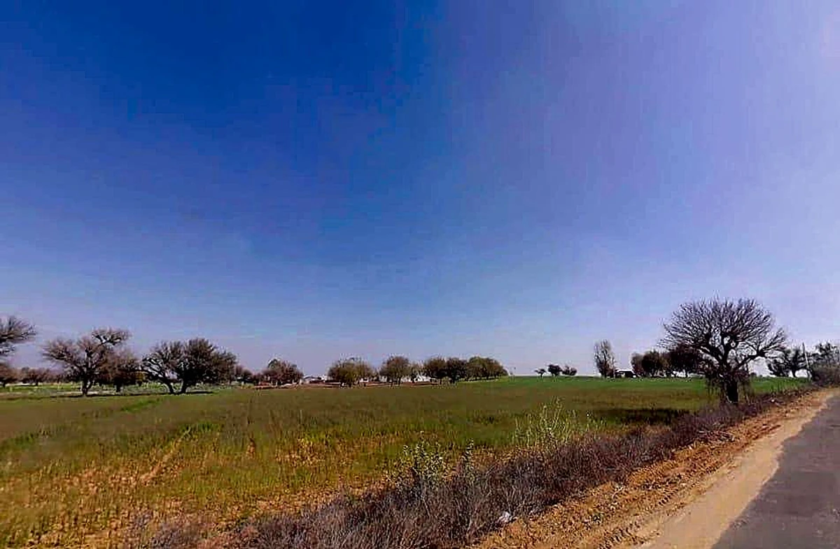 Aloda, Rajasthan 332602, India