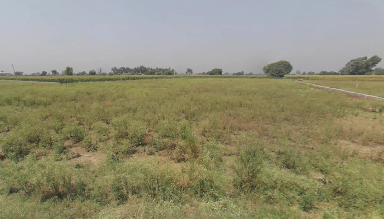 Nakodar, Punjab 144040, India