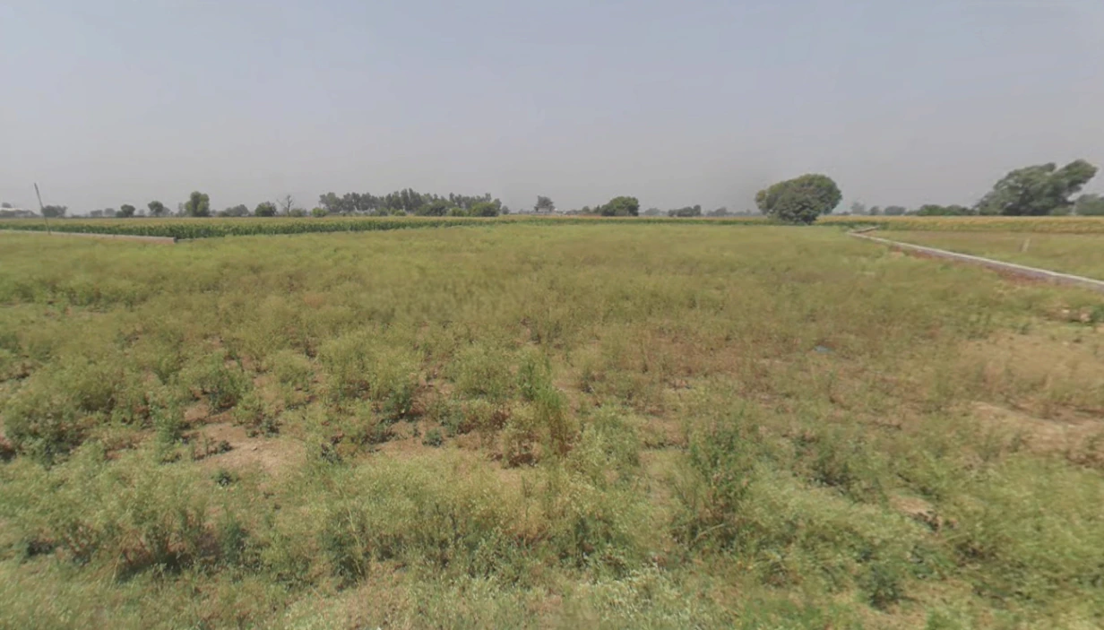 Nakodar, Punjab 144040, India