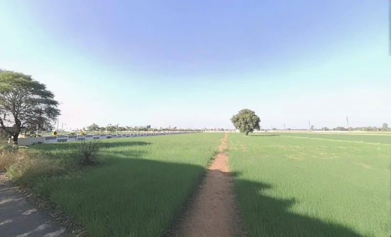 Agricultural Land in Paliya haidar, Indore