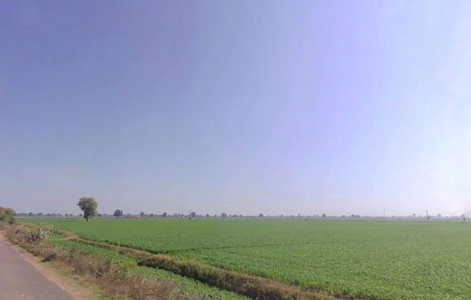 Bijolia, Rajasthan 311602, India