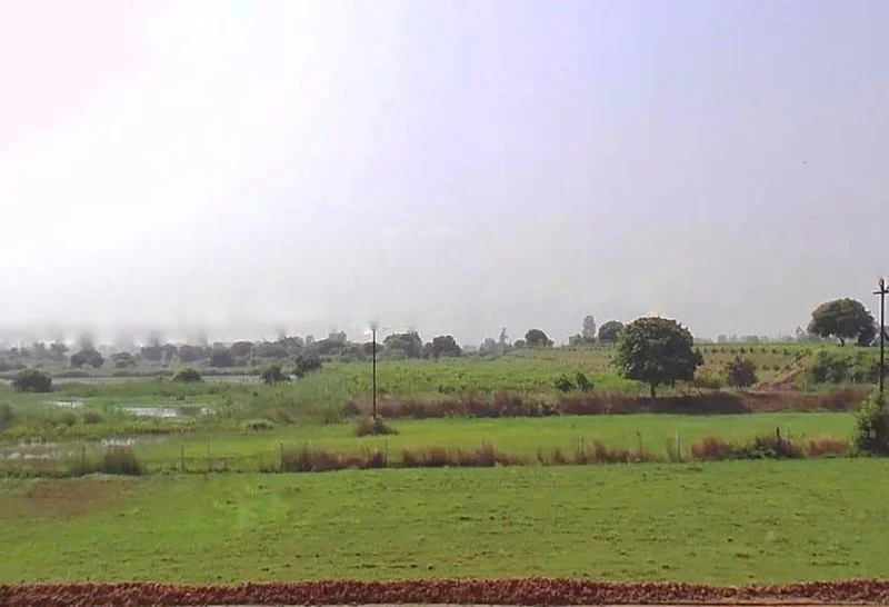 Lakhimpur, Uttar Pradesh 262701, India preview 2