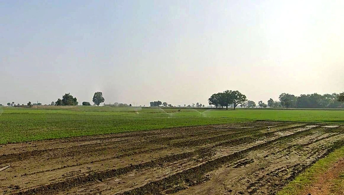 Misrod, Bhopal, Madhya Pradesh, India