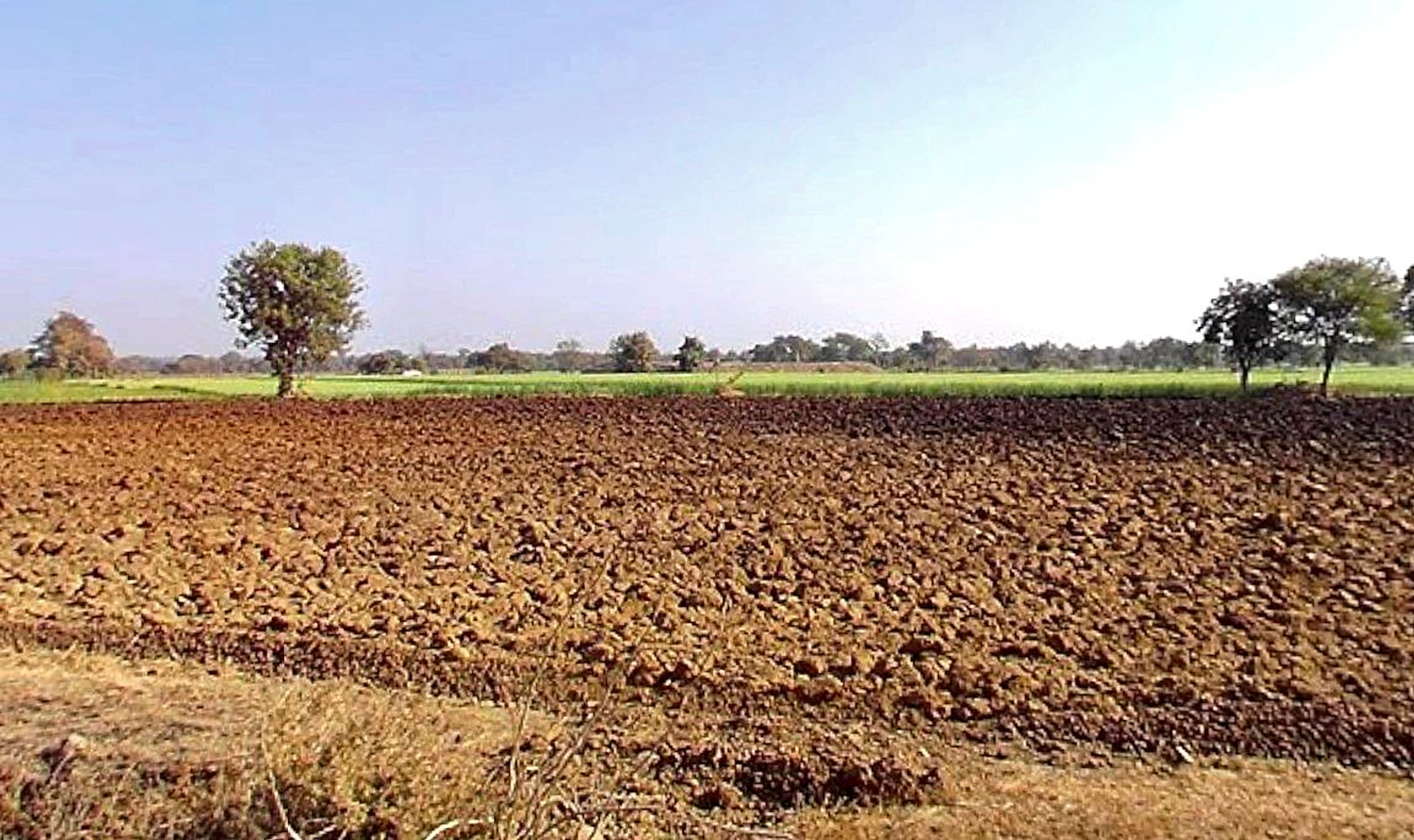 Huzur, Madhya Pradesh 462001, India