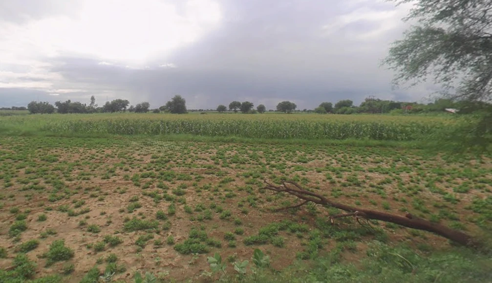 Chunar, Uttar Pradesh 231304, India