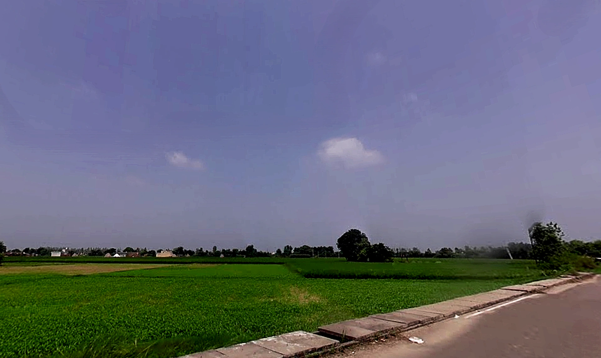 3M77+HVW, Bodhani, Loatani, Haryana 136129, India