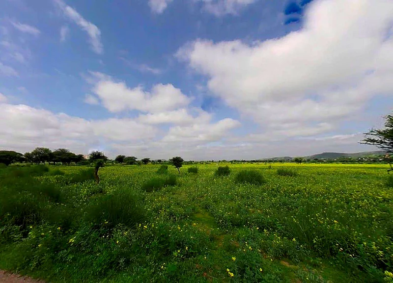 Bagru, Rajasthan 303007, India preview 2