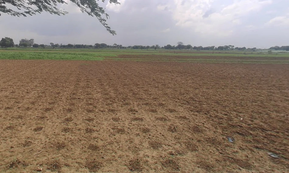 Kajrota, Uttar Pradesh, India