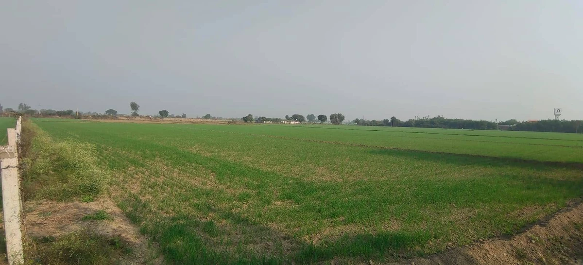 Ogar, Uttar Pradesh 202136, India