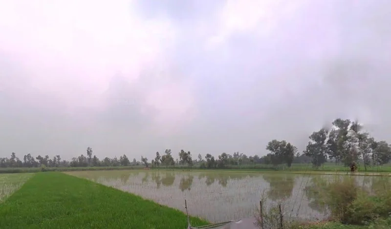 Piparia Bhaja, Uttar Pradesh, India preview 3