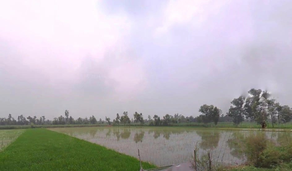 Piparia Bhaja, Uttar Pradesh, India