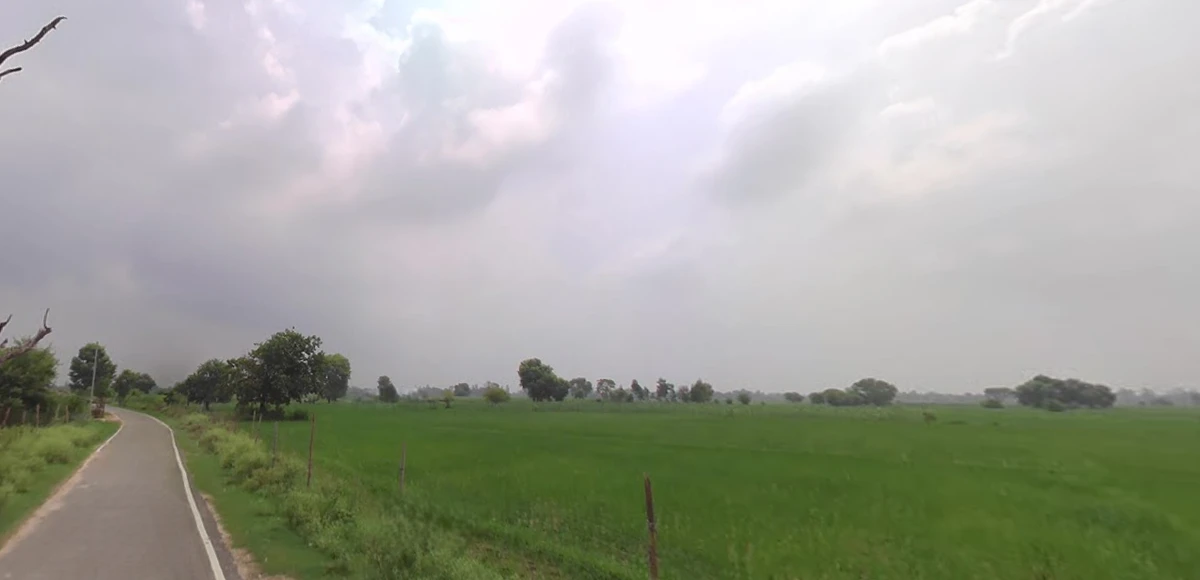 Sundari, Uttar Pradesh 262406, India