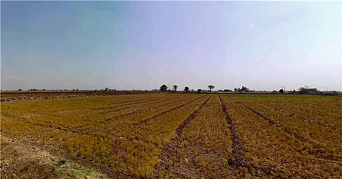 Khavad, Gujarat 384445, India