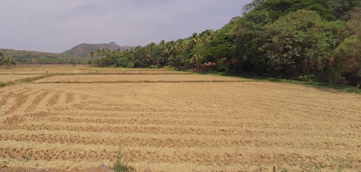 Vadakkencherry, Kerala, India