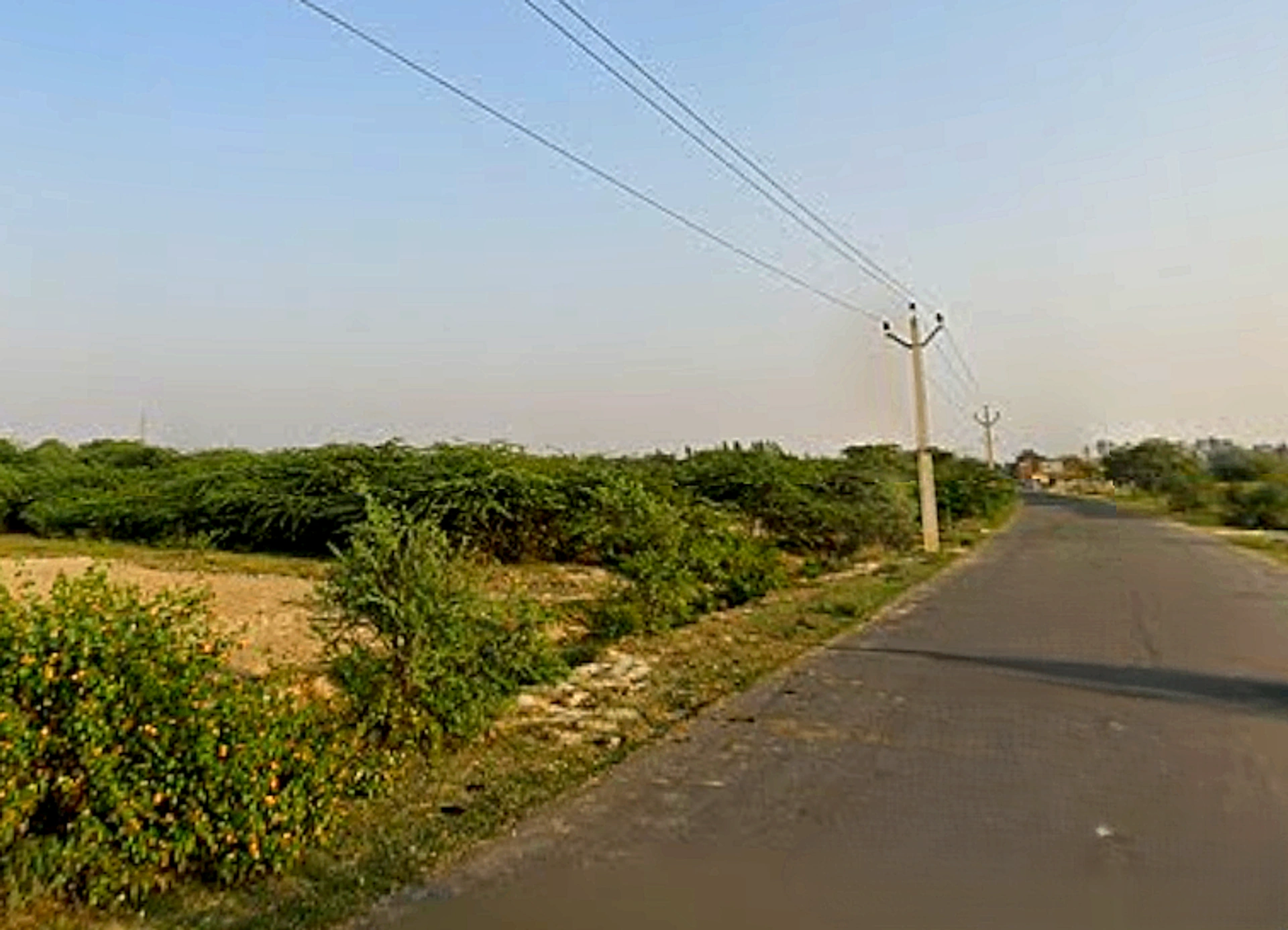 Khujauli, Uttar Pradesh 226301, India