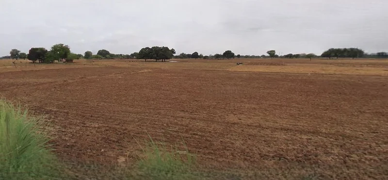 Muskara, Uttar Pradesh 210506, India preview 2