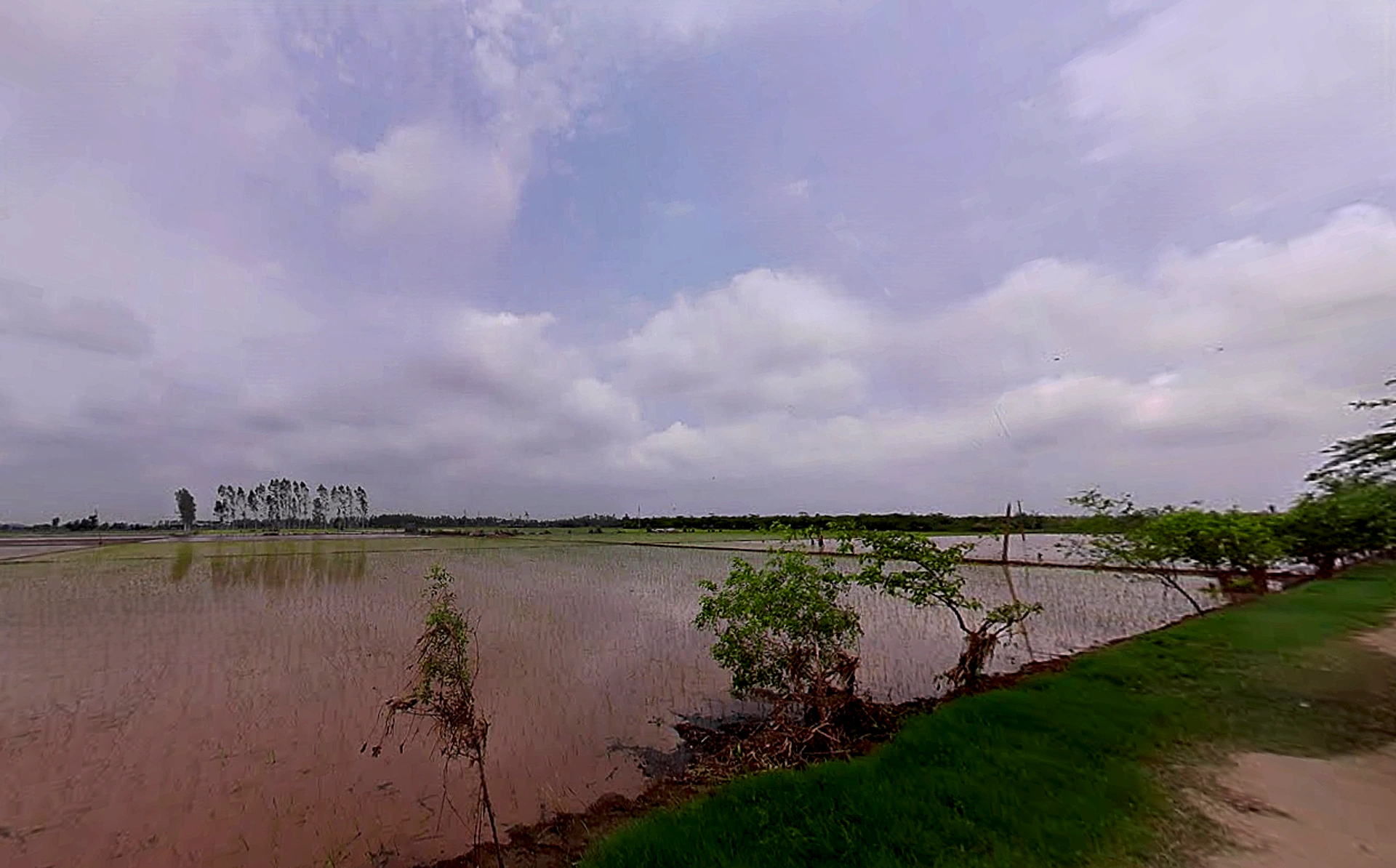 Bopur, Haryana 136034, India