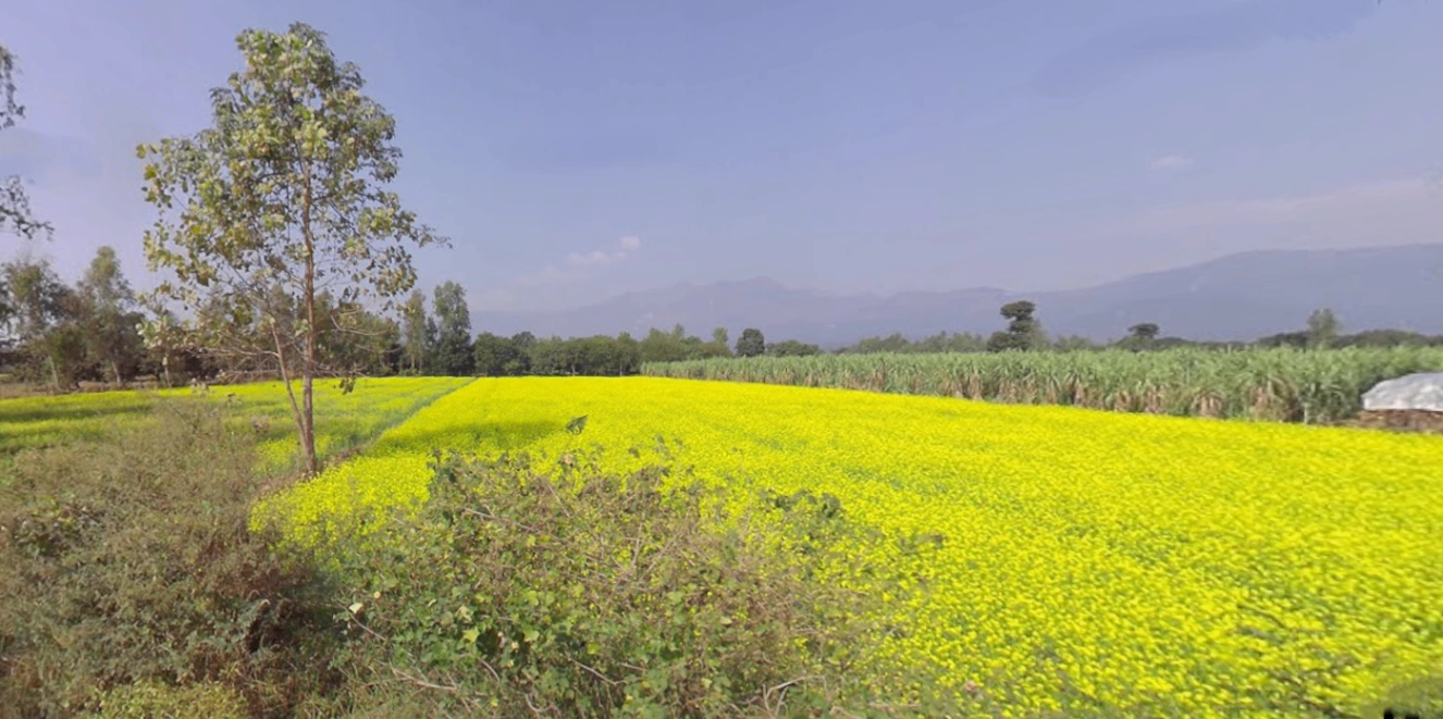 Mukteshwar, Uttarakhand, India
