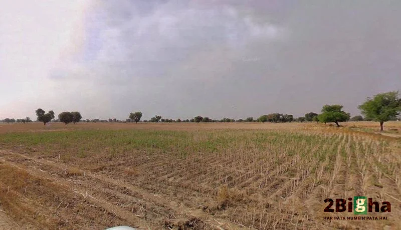 Muskara, Uttar Pradesh 210506, India preview 2