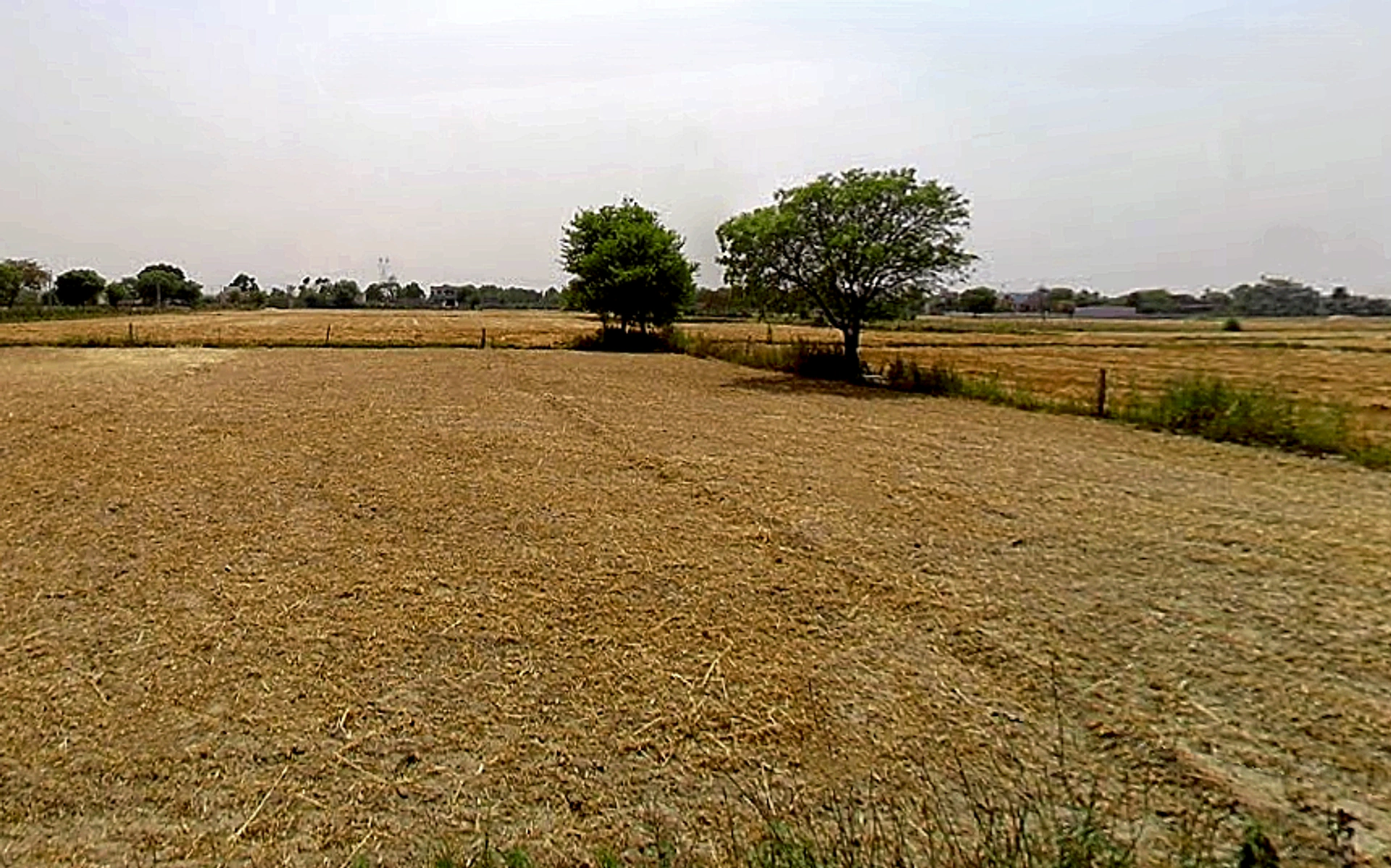 Kaimrala Chakrasenpur, Uttar Pradesh 201314, India