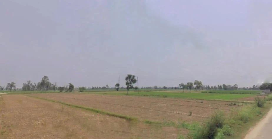 Pali, Uttar Pradesh 244304, India