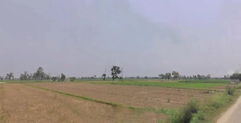 Pali, Uttar Pradesh 244304, India preview 2