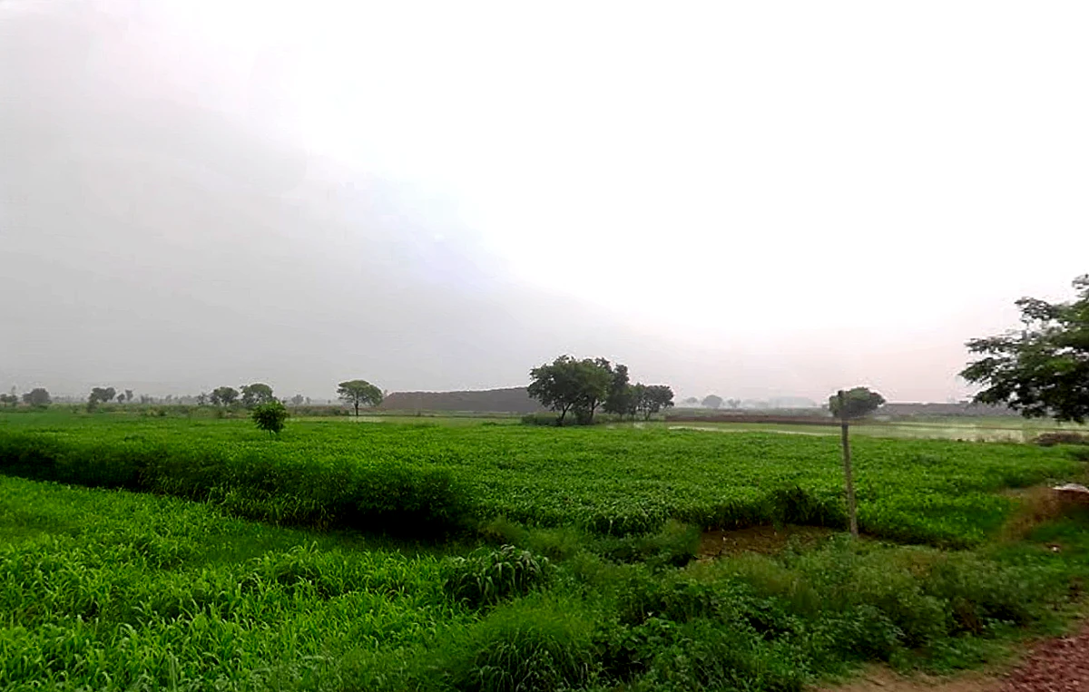 Israna, Haryana 132107, India