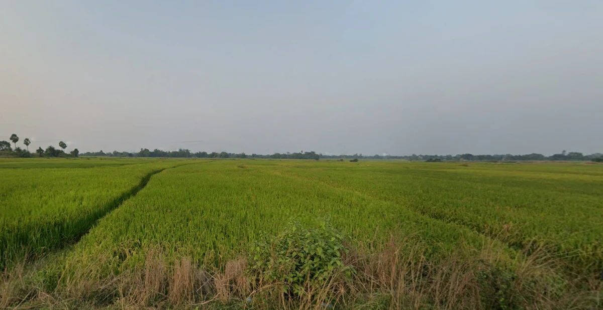 Beliatore, West Bengal 722203, India