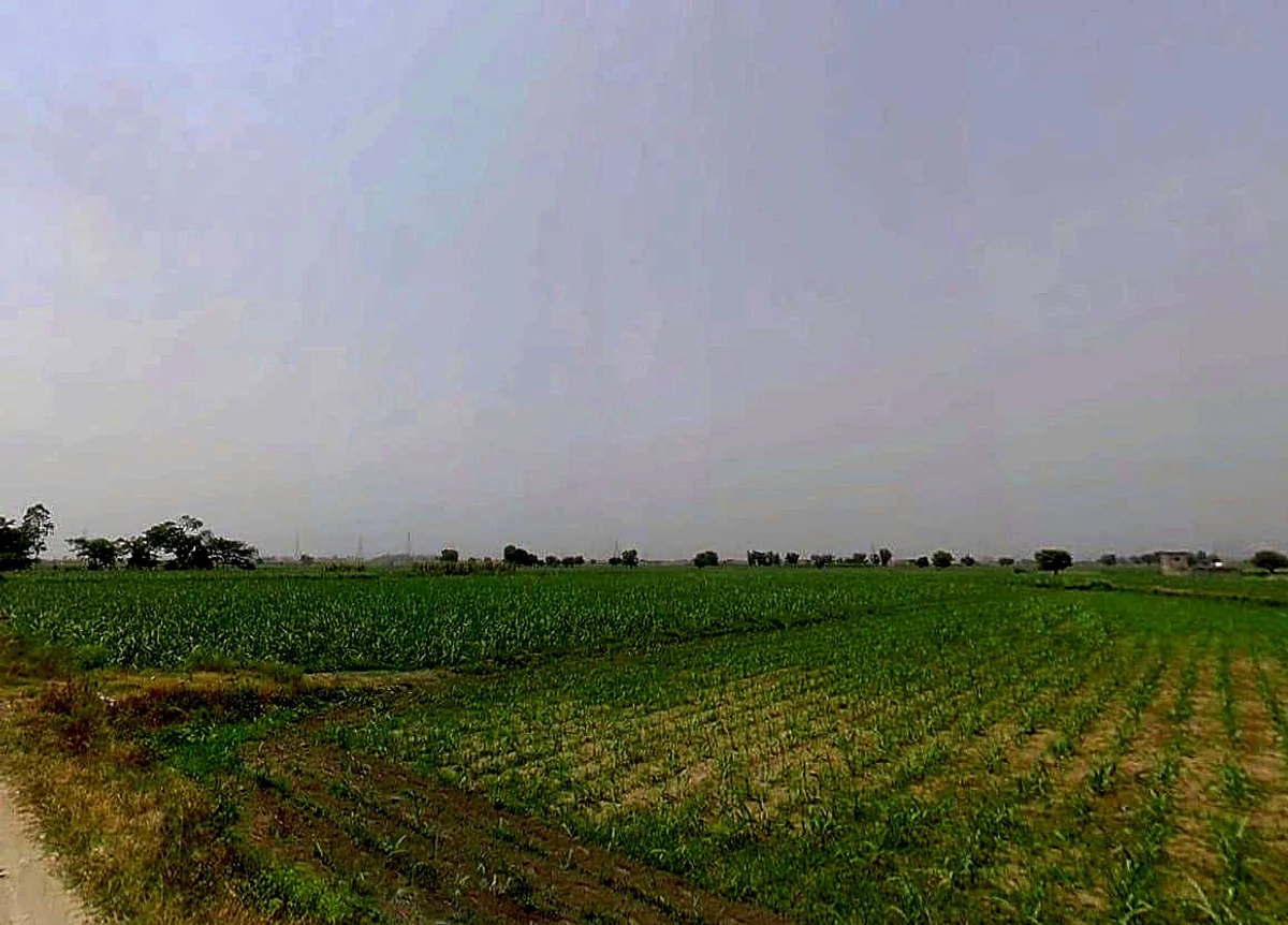 Daurala, Uttar Pradesh 250221, India