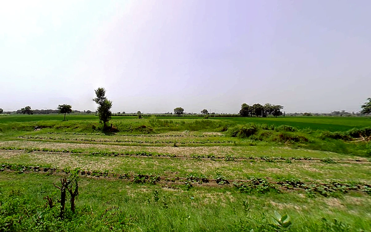 Jorasi, Haryana 132101, India