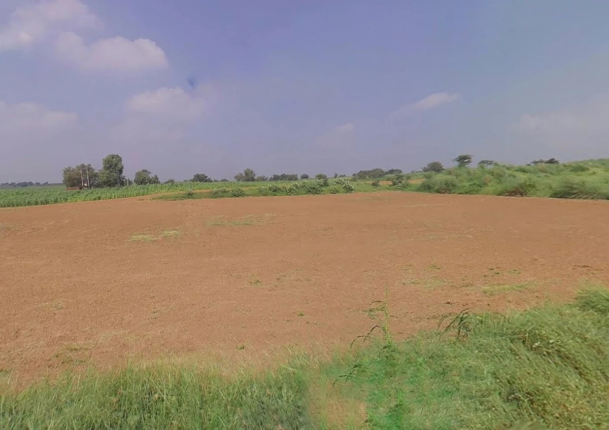 Badasirei, Puri, Odisha 752002, India