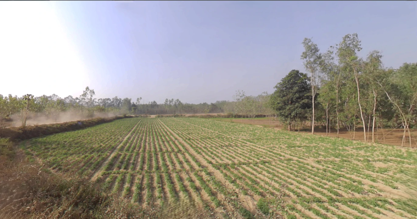 Jasmour, Uttar Pradesh, India