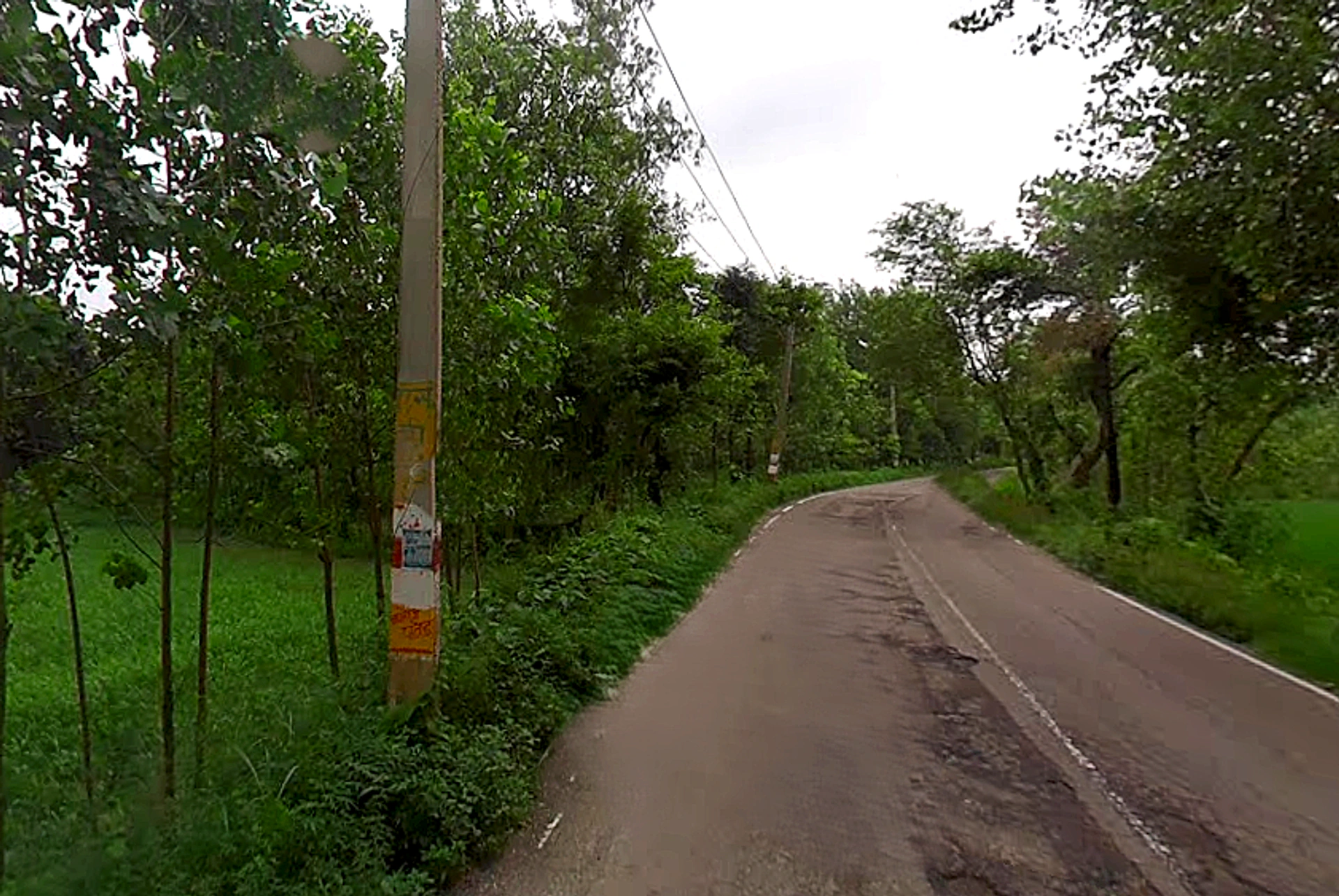 Pathed, Uttar Pradesh 247669, India