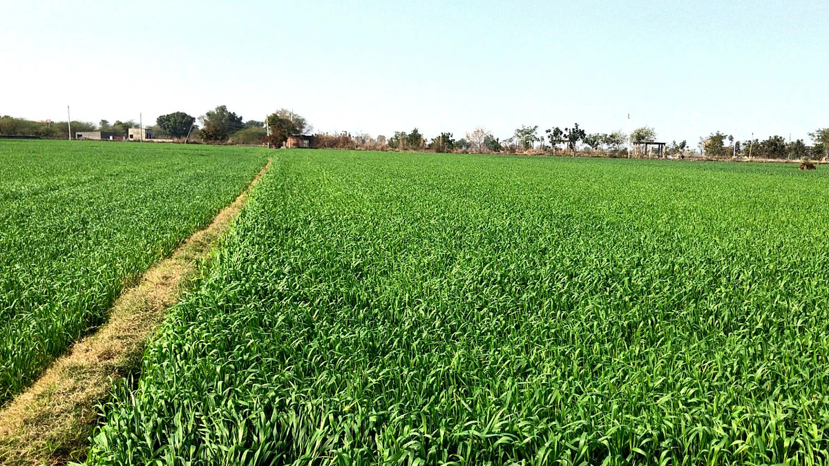 Kharkhoda, Haryana 131402, India