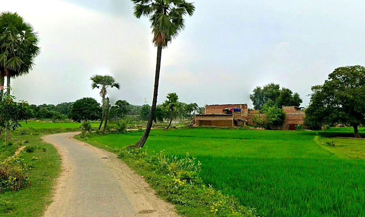 Khamariya, Chhattisgarh 490020, India