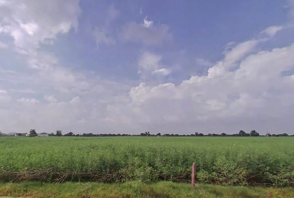 Hukampura, Rajasthan, India