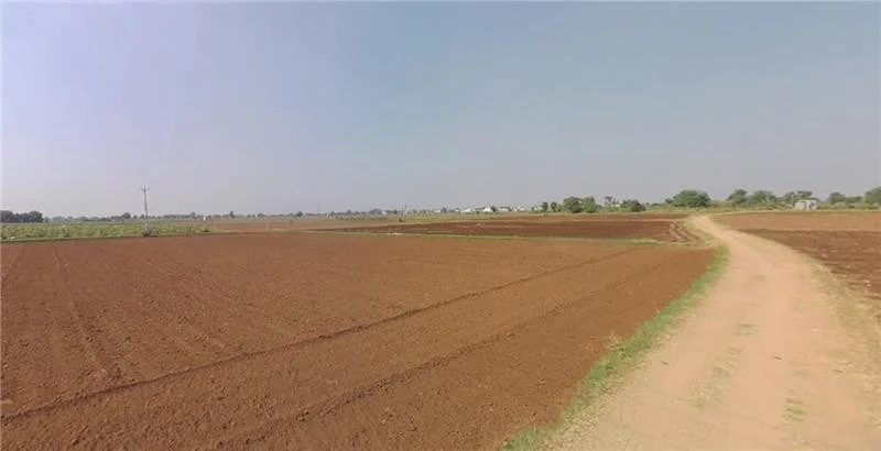 Agricultural Land in Sanand/mankol, Ahmedabad