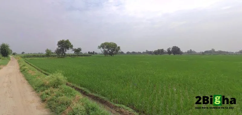 Bhogpur, Punjab 144201, India preview 3