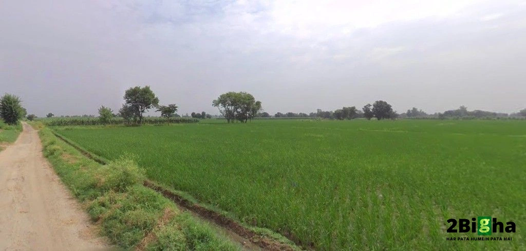 Bhogpur, Punjab 144201, India