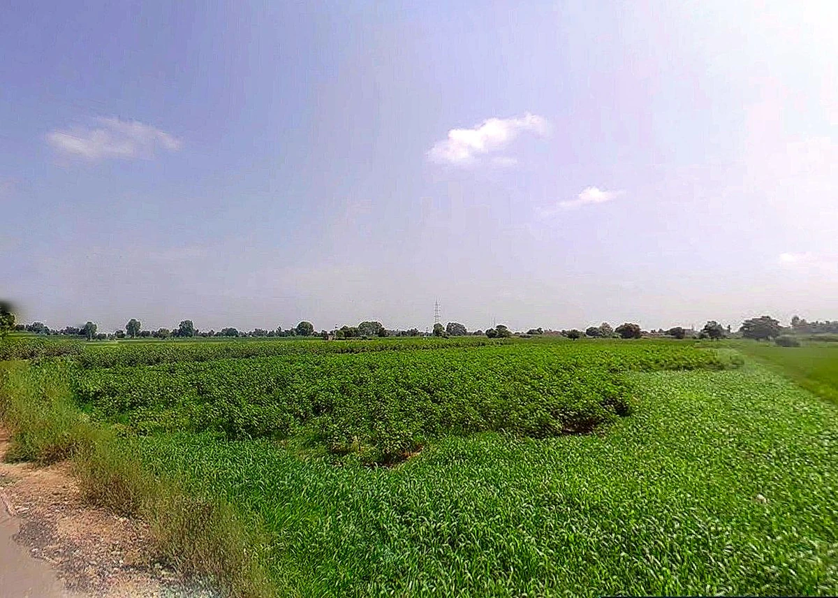 Konark Rd, Konark, Odisha 752111, India