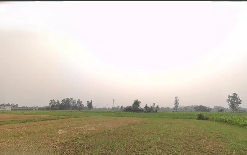 Raiwala, Uttarakhand 249205, India