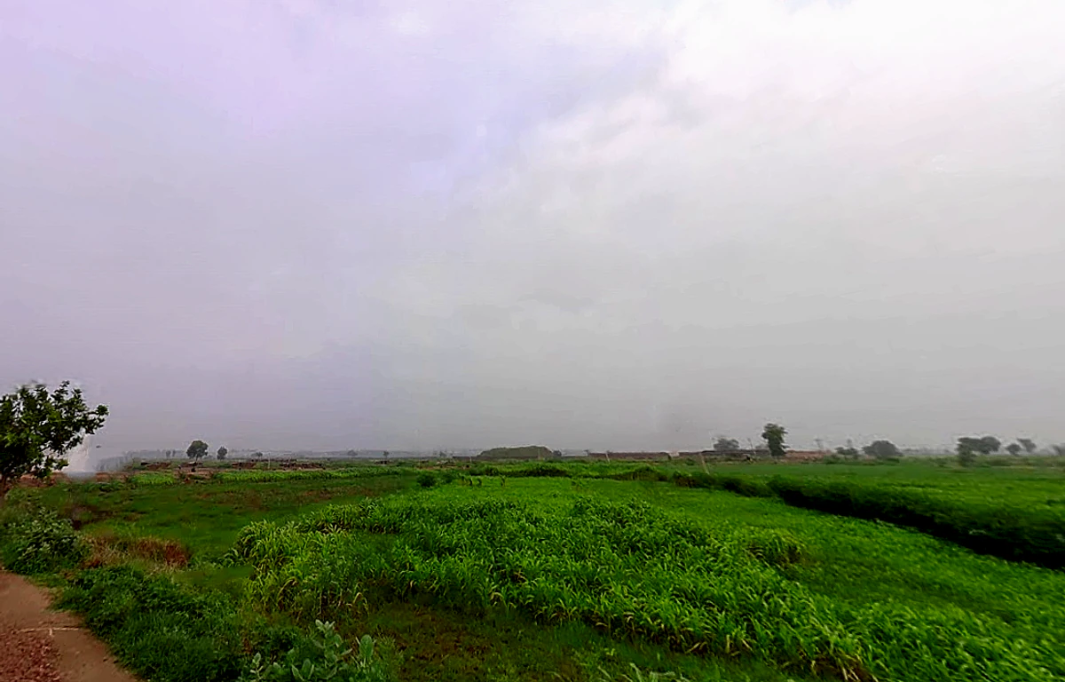 Israna, Haryana 132107, India